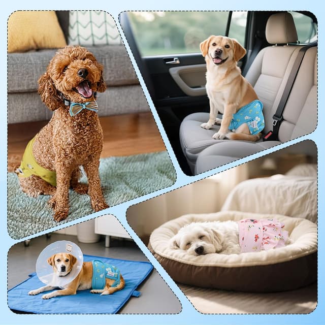 Detalle de Culotte lavable Nobleza pour chienne en chaleur, incontinence – Lot de 3 couches réutilisables (taille L, 50–60 cm)