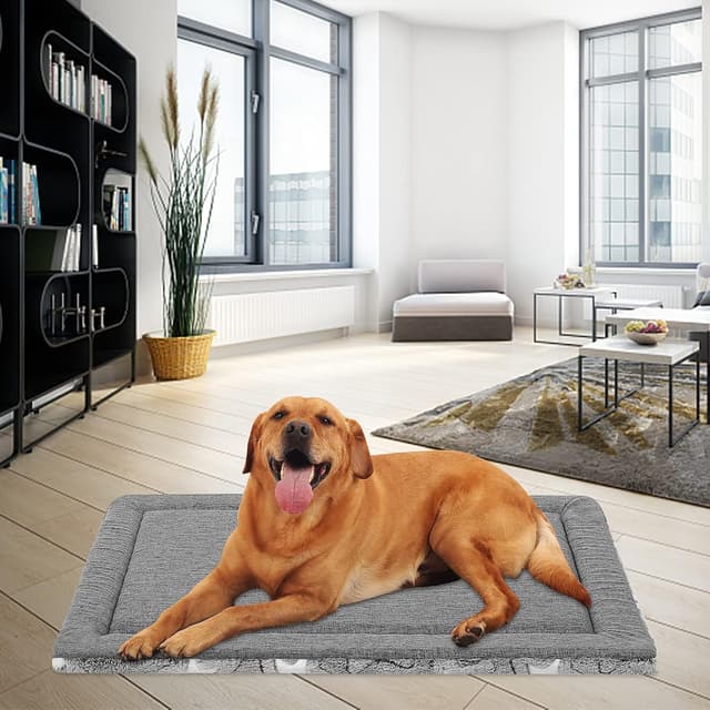 Detalle de EMPSIGN Cuscino per cani taglia grande XL reversibile lavabile in schiuma ad alta densità (grigio) 107 × 71 × 2,8 cm