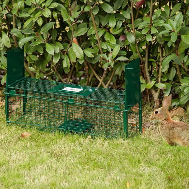 Detalle 2 de PawHut piège vivant à double entrée 60 x 18 x 20 cm pour martres, rats et souris