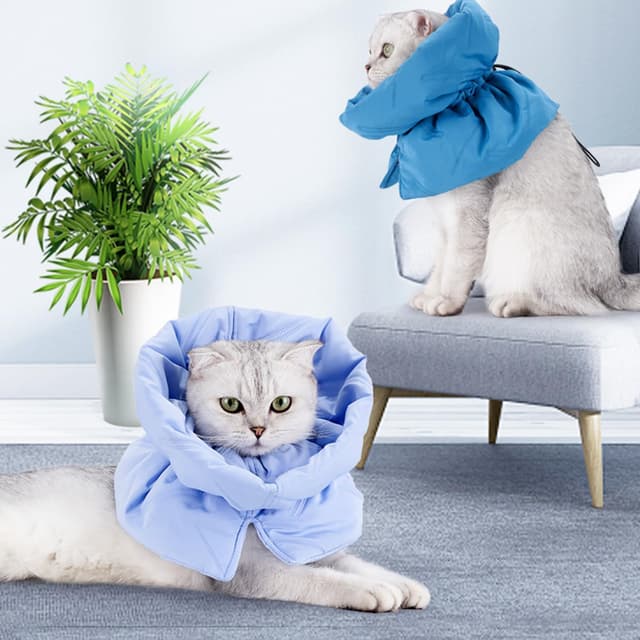 Thumbnail 6 de Elisabethanisches Halsband für Katzen nach OP – weiche, einstellbare Halskrause (Hellblau, M)