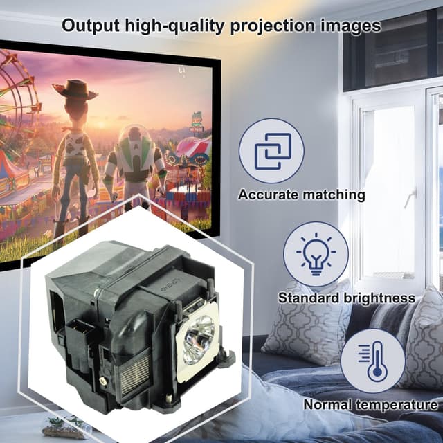 Detalle 2 de iReijomoi V13H010L88 projector lamp bulb