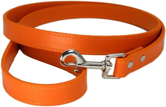 Detalle de PU Leather Dog Lead in Orange (1.5cm x 120cm) with Metal Hook Buckle