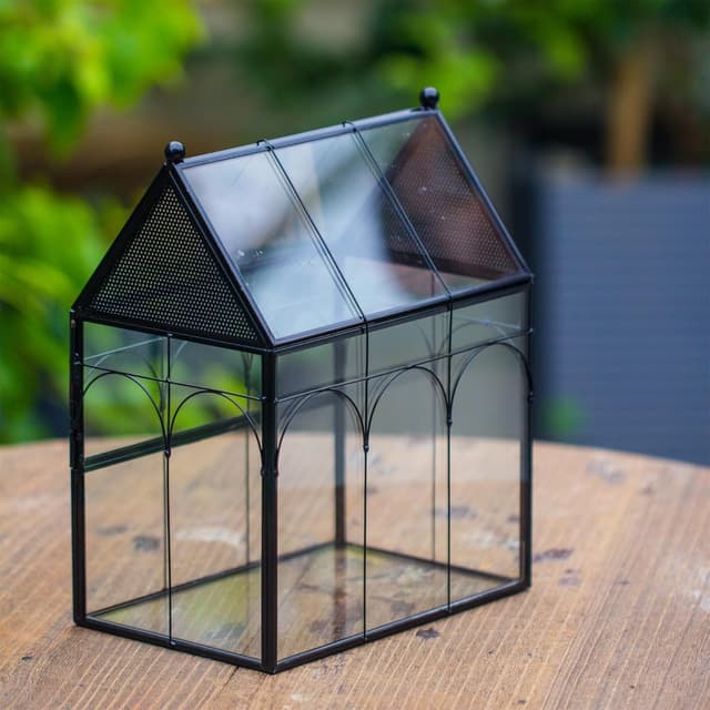 Thumbnail 3 de NCYP Glass House Terrarium 19×12.5×23 cm