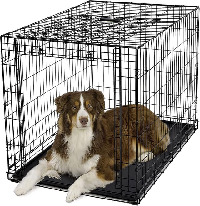 Thumbnail 5 de MidWest Ovation 106,68 cm cage pliante pour chien