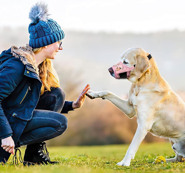 Thumbnail 6 de HEELE Hund Maulkorb S