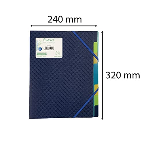 Detalle 2 de Exacompta 206213 Clasificador de polipropileno azul