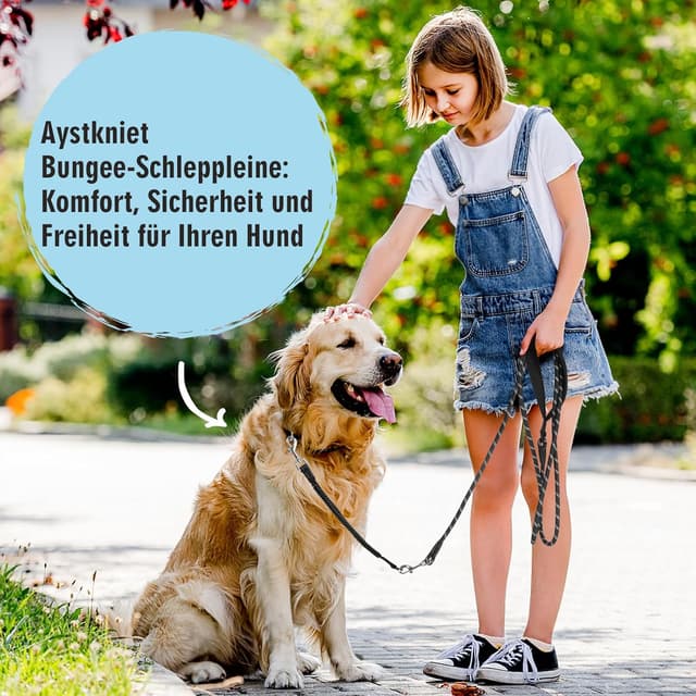 Thumbnail 6 de Aystkniet Schleppleine 10 m für Hund: mit abnehmbarer elastischer Kordel, gepolstertem Griff & abschließbarem Haken
