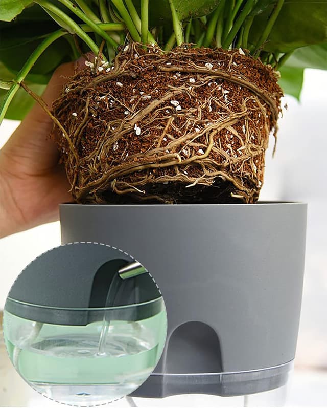 Detalle 2 de iDattel Kräutertopf 18,2 cm