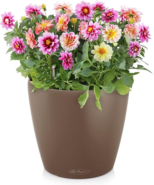 Detalle 2 de Lechuza Classico Color 43 macetero con riego 33 l