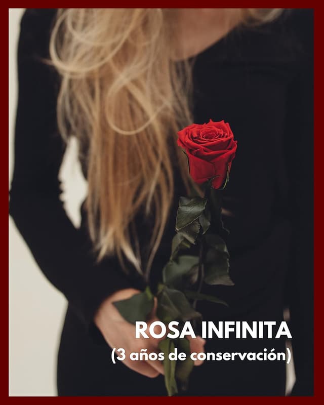 Thumbnail 2 de Mia Milano Rosa Preservada en Caja 🎁 Regalo San Valentín