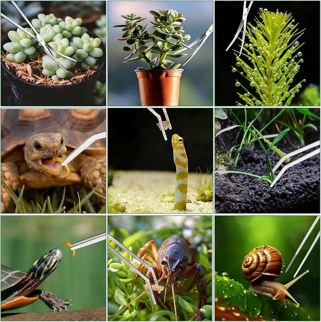 Thumbnail 6 de Houbobo 4PCS Aquascape Tools Aquarium Kit (stainless steel) for plant trimming, algae scraping and substrate tidying