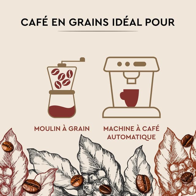 Thumbnail 6 de Carte Noire Café en grains 500 g