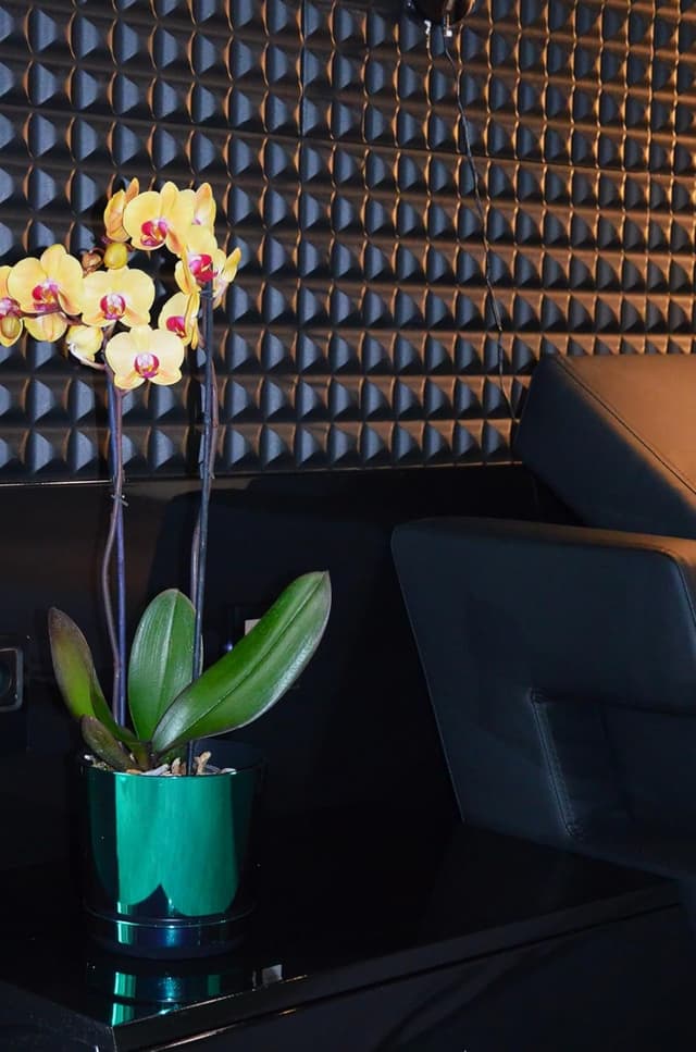 Thumbnail 6 de KERD Blumentopf-Set 5x12 cm Glänzend Grün