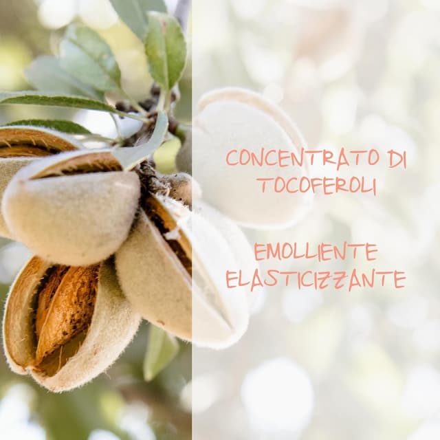 Thumbnail 4 de Omia Fisio Shampoo Olio di Mandorla 4x200 ml