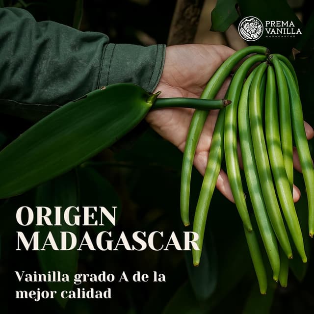 Thumbnail 1 de PREMA VANILLA Vainas Bourbon 14-18 cm 🍮