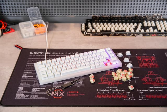 Thumbnail 6 de Cherry MX RGB Silent Red Switch Kit 23 interruptores