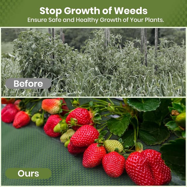 Thumbnail 4 de Velway Telo Pacciamatura 1x10M 🌱