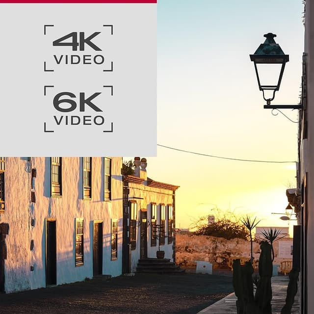 Detalle 1 de Panasonic Lumix DC-S9E-K Cámara sin espejo 24,2 MP