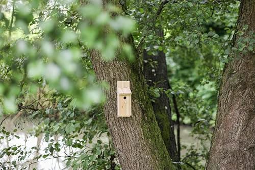 Detalle 2 de Kerbl Pet Pet Kit para caja nido 32 mm