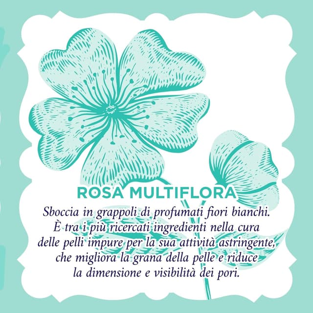 Detalle 2 de Acqua alle Rose kit routine viso purificante 200 ml