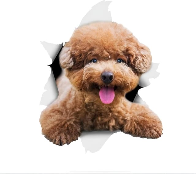 Imagen de Autoaufkleber Pudel 18 cm reflektierend en OfertitasTOP