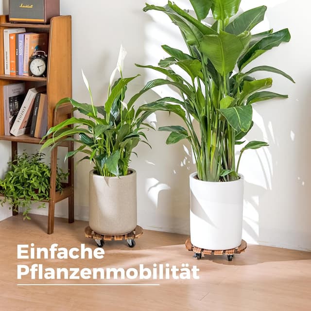 Detalle de Bamworld Pflanzenroller 2er-Set (Ø 30,5 cm) – mit feststellbaren Rollen, belastbar bis 130 kg