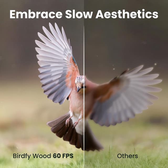 Detalle 2 de Birdfy Smart Wooden Bird Feeder Camera