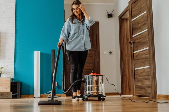 Detalle 2 de LEHMANN Haddo Industriestaubsauger 2000W – Aschesauger für Kamin mit 20-Liter-Edelstahltank und Doppelfilteranlage