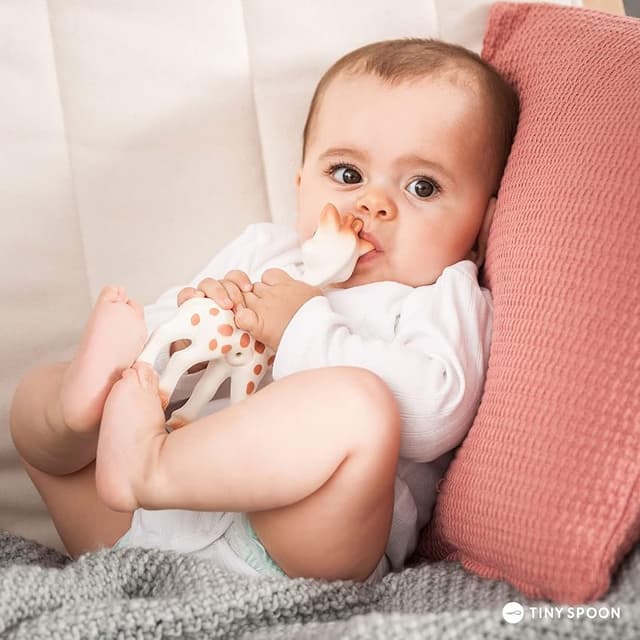 Thumbnail 5 de Sophie la girafe x GCF Paquete de juguete 🧸