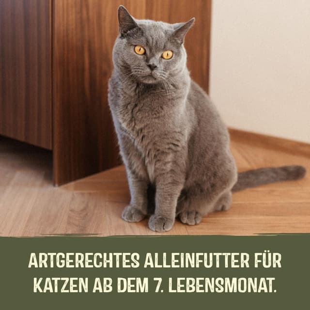 Thumbnail 5 de GimCat Near Nature Probier-Mix 12er Nassfutter