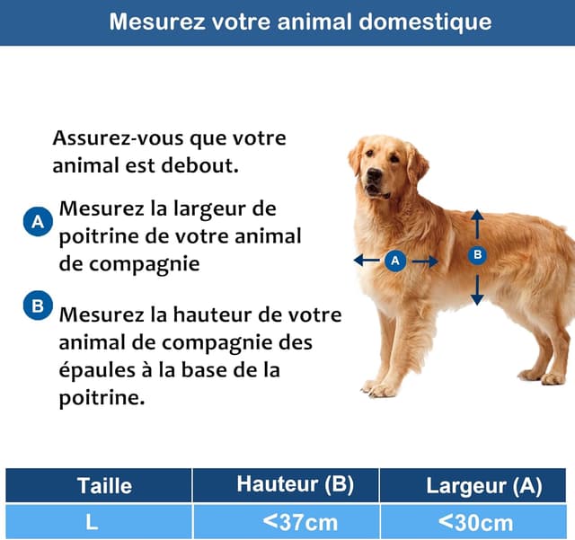 Thumbnail 4 de CEESC Clapet pour chiens 45 kg 🐾