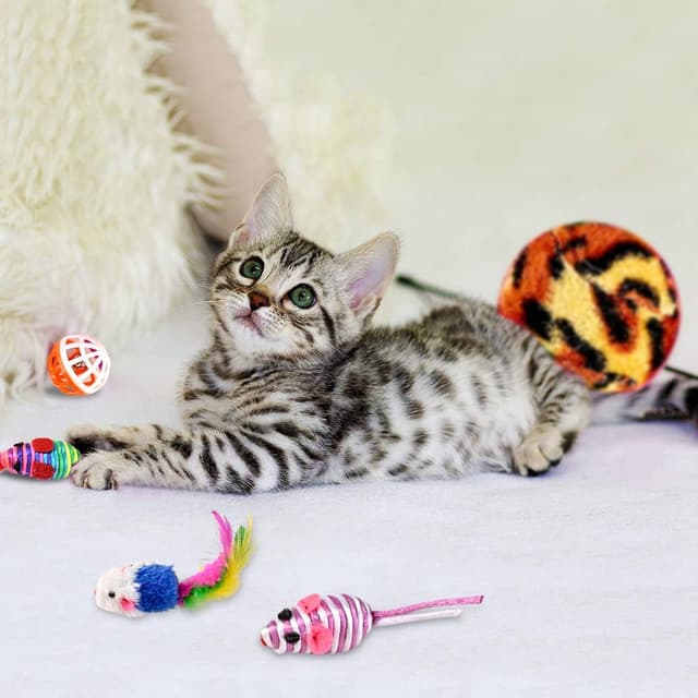 Thumbnail 5 de GOLDGE Juguetes para Gatos 16 piezas