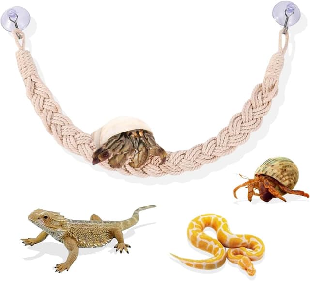 Detalle de DIYBravo 23.6-inch Hermit Crab Climbing Ladder 🐢