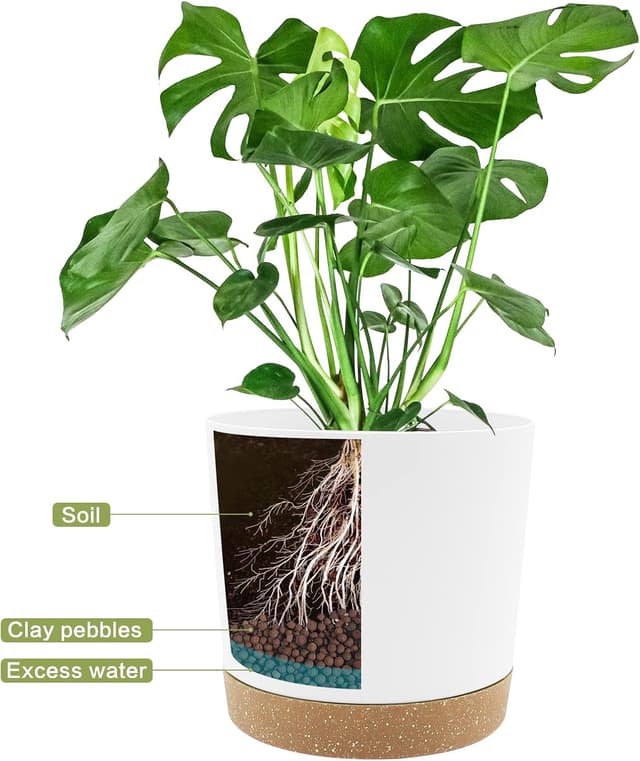 Detalle 2 de QCQHDU Bumentöpfe 2er Set 20,5 cm