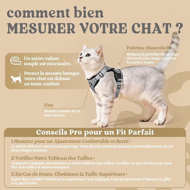 Detalle 2 de rabbitgoo Harnais Chat XS rĂ©glable 34,3 cm đŸ