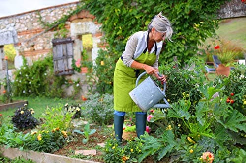 Thumbnail 4 de Solabiol Anticaracoles Natural RB