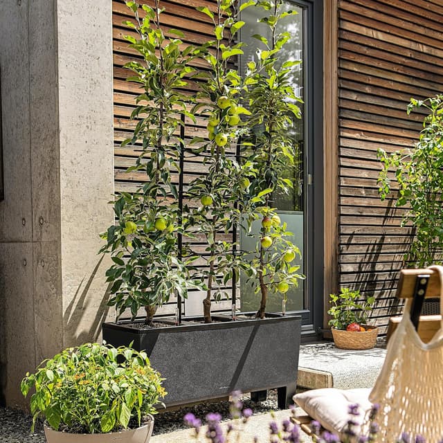 Thumbnail 5 de LECHUZA TRIO Stone 30 graphit schwarz