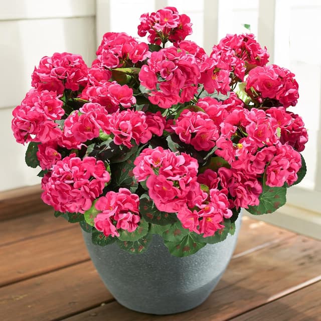 Thumbnail 6 de HyeFlora Artificial Geranium Fake Flowers for Outdoors Decoration (6 Bundles) — UV Resistant Silk, Hot Pink