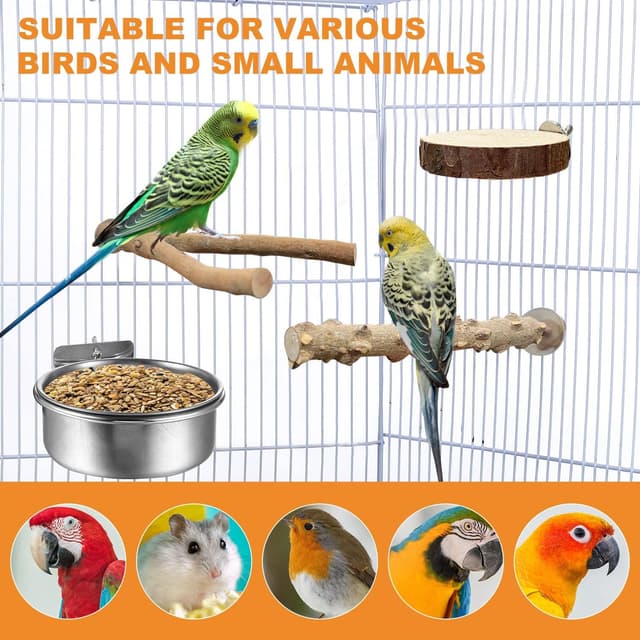 Thumbnail 4 de xianzhanEU Natur Sitzstangen Set 4 Stück für Vögel 🐦