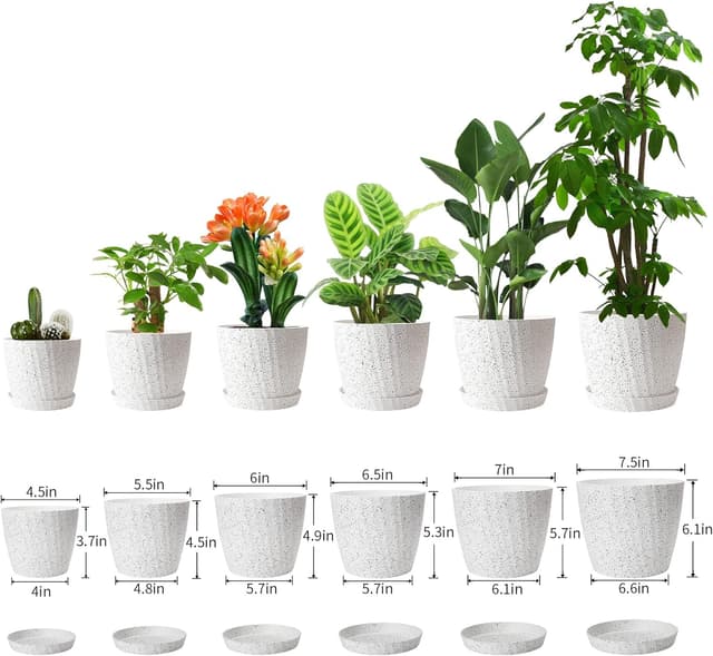 Detalle de Plastic Plant Pots 6 pack for indoor use