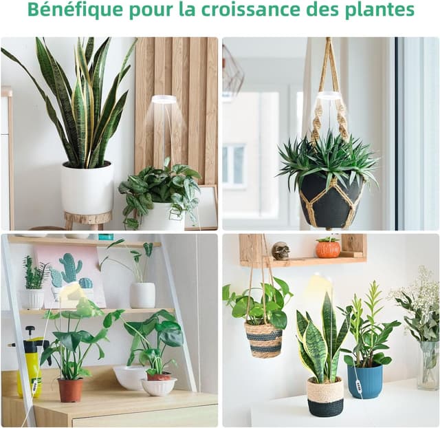 Thumbnail 6 de Mcbazel Lampe Plante 61,5 cm