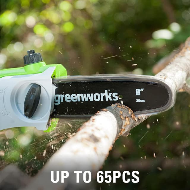 Detalle de Greenworks G24PSHK2 cordless 2-in-1 pole saw and pole hedge trimmer (tool only) with 20cm bar