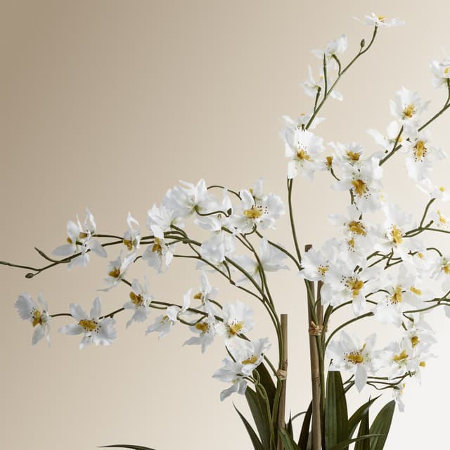 Thumbnail 1 de El Corte Inglés Planta artificial Orquídea con base natural