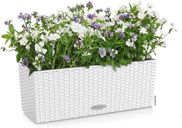 Thumbnail 1 de LECHUZA Balconera Cottage 50 bianco 15600 fioriera