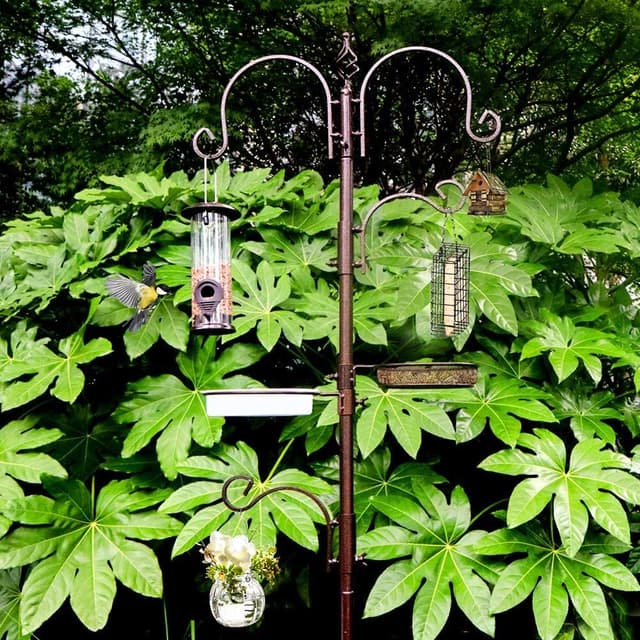 Thumbnail 6 de MIXXIDEA Bird Feeder Station Kit