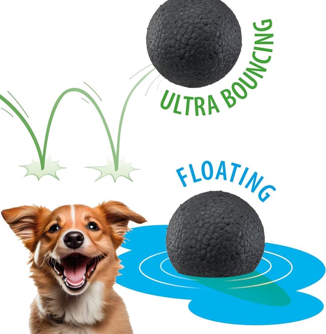 Detalle de Ferplast CHEWA Boing Ball Dog Toy (Size L) – Super Bouncing & Floating Chew-Resistant Ball