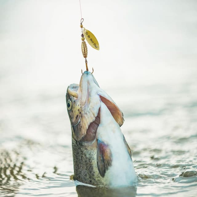 Thumbnail 6 de SANTUO Trout spinner kit 10 lures