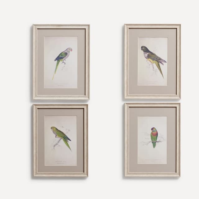 Imagen de El Corte Inglés Set de 4 cuadros Pájaros 📷 en OfertitasTOP