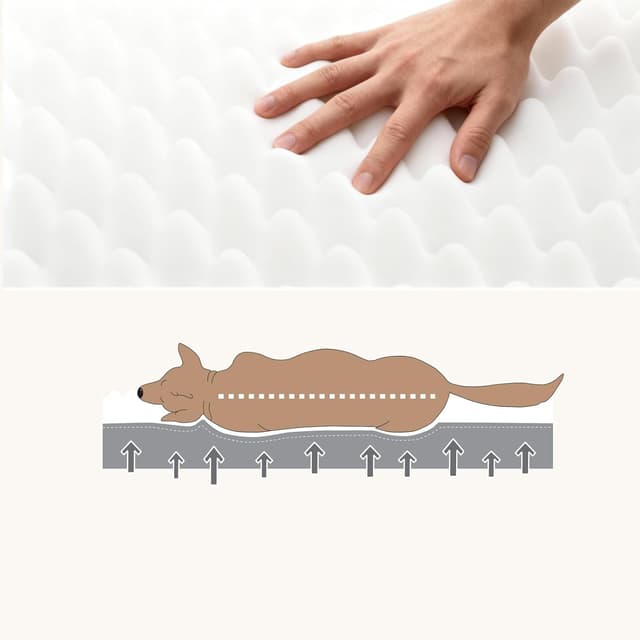 Detalle de WAVVE Panier chien grande taille orthopédique déhoussable 91x69x7,6 cm, gris