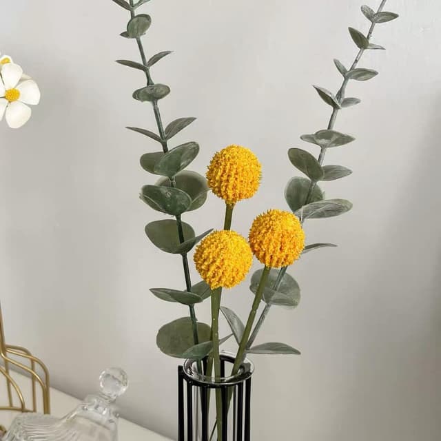 Thumbnail 5 de Eucalyptus Artificial Stems 24-pack